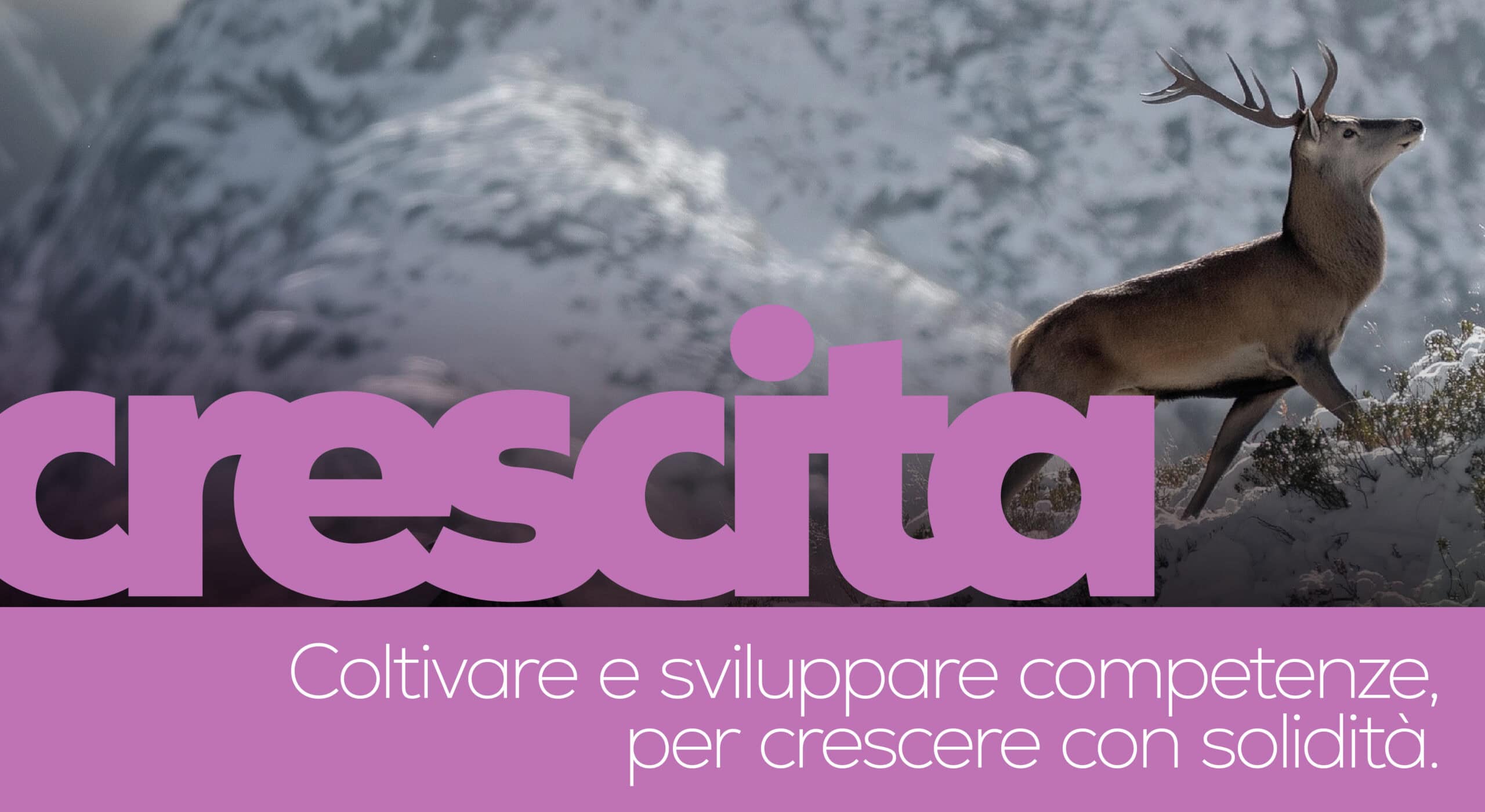 Un cervo si trova su un pendio innevato di una montagna, dietro un grande testo viola che recita "crescita" e una frase sulla formazione e la coltivazione di abilità per la crescita.