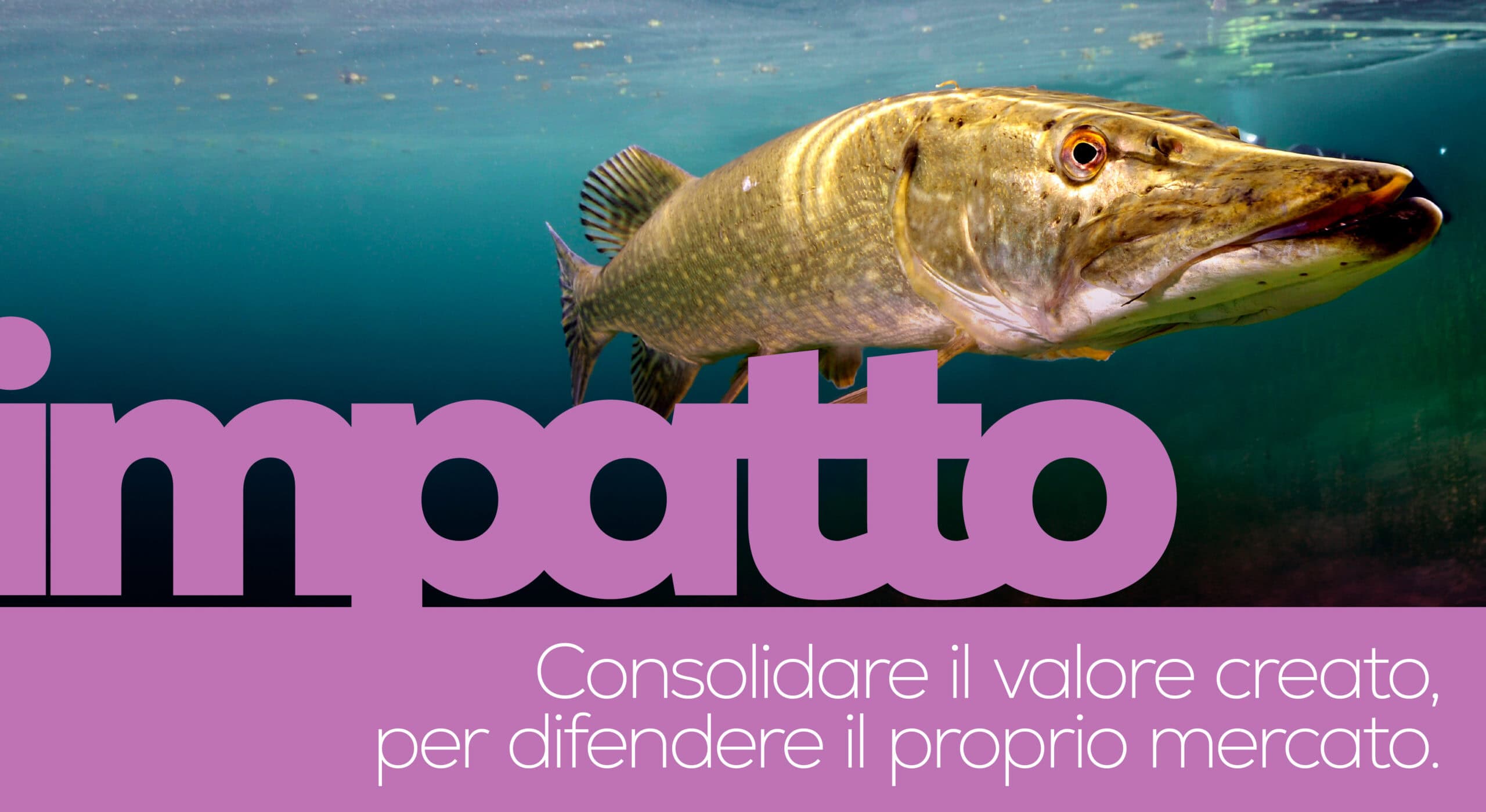 Un luccio nuota sott'acqua vicino alla parola "impatto" e al testo: "Consolidare il valore creato, per difendere il proprio mercato", evidenziando strategie di crescita e marketing.