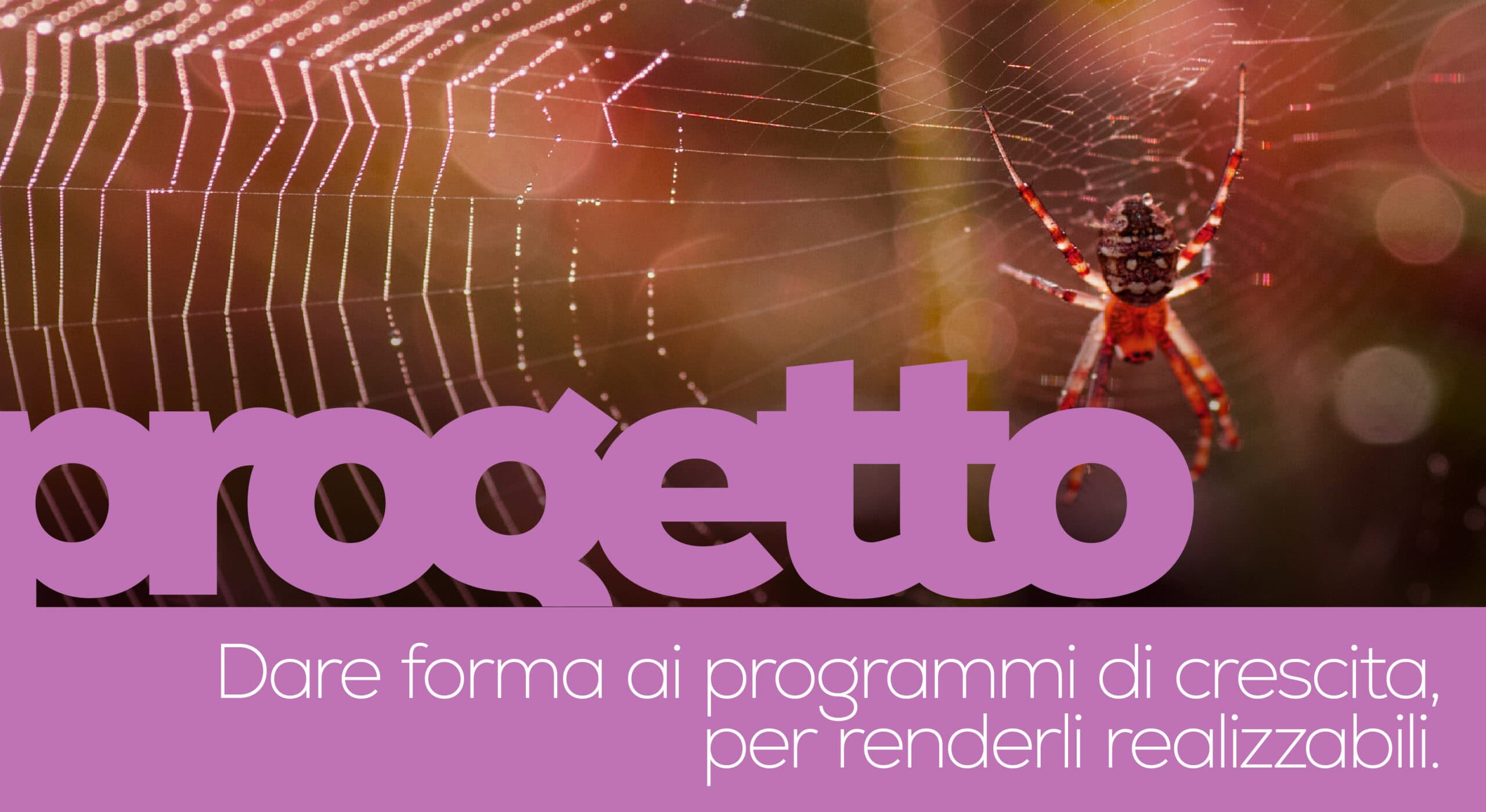 Un ragno sulla sua ragnatela con la parola "progetto" in grande e uno slogan italiano che parla di dare forma ai programmi di crescita per renderli realizzabili.