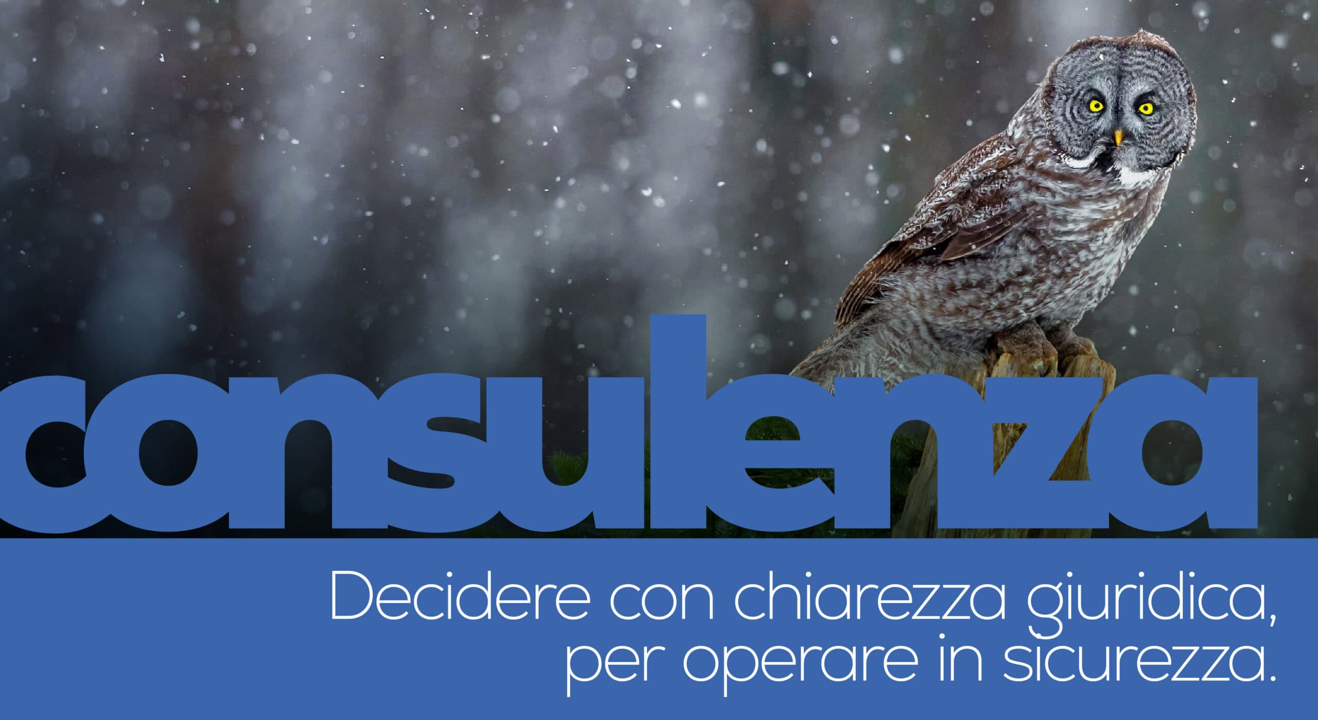 Un gufo appollaiato su un ramo nella neve. Il grande testo blu recita "consulenza" con un sottotitolo in italiano sulla tutela legale e la conformità per garantire che la vostra attività operi con chiarezza legale e sicurezza.