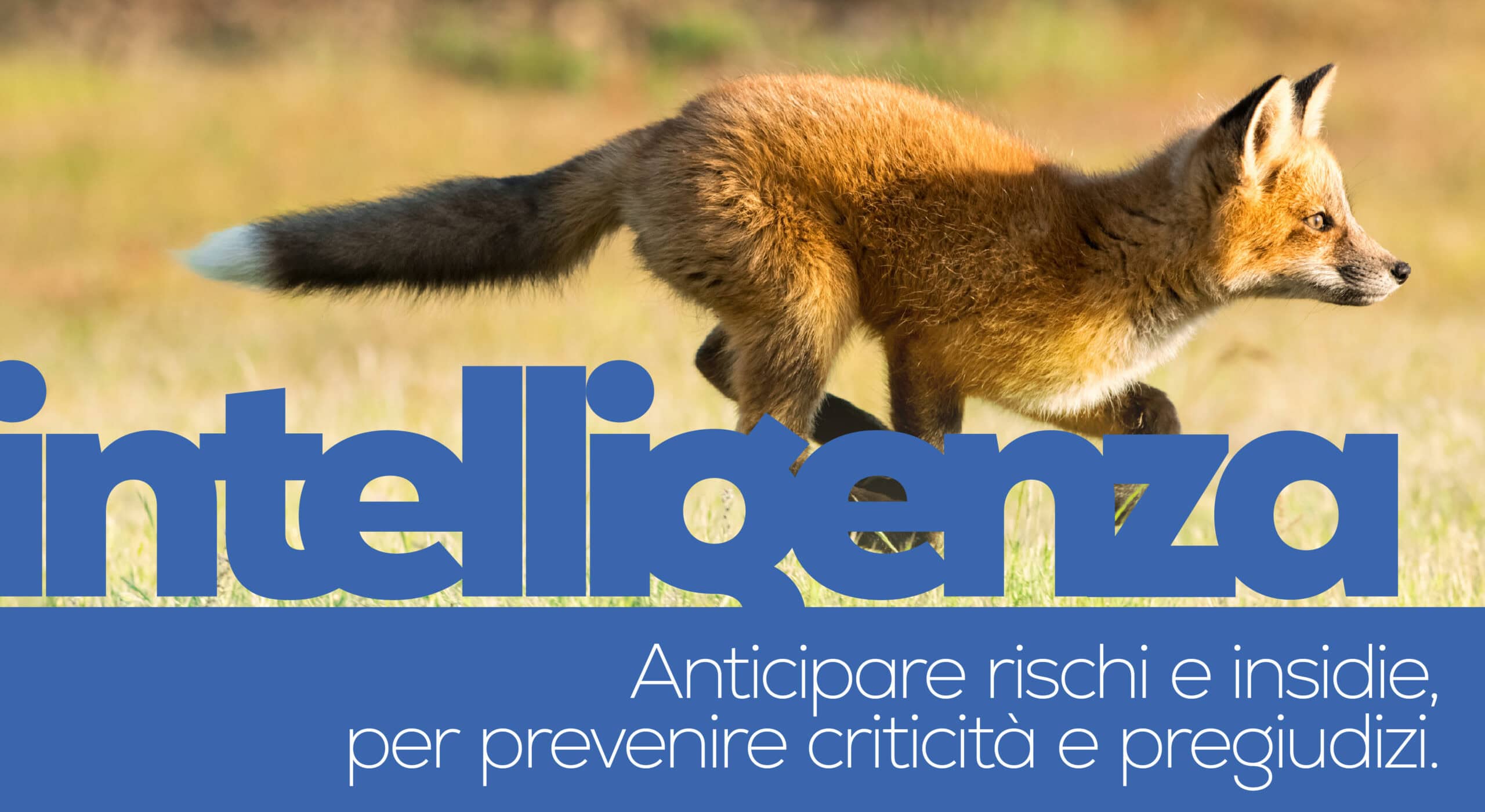 Una volpe rossa corre in un prato con la parola "intelligenza" a grandi lettere e un testo in italiano che parla di anticipare i rischi, prevenire i problemi e favorire la compliance per una tutela legale efficace nel business.