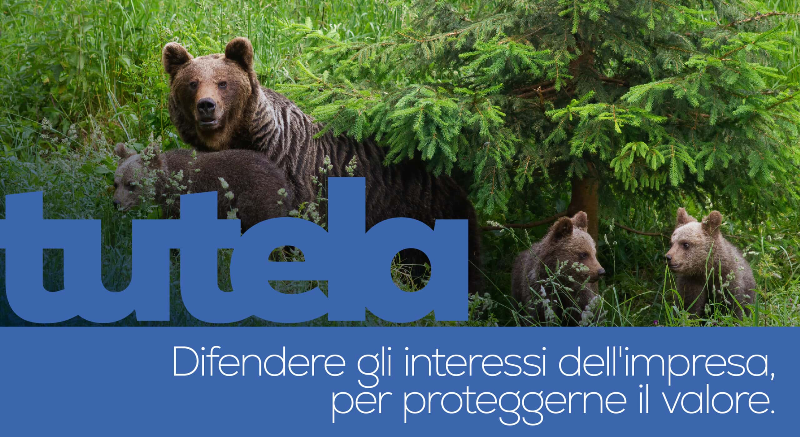 Un orso con due cuccioli si trova vicino a un albero in una foresta verde. Un grande testo recita "tutela", con uno slogan sulla tutela legale e sulla protezione degli interessi e dei valori aziendali in basso.